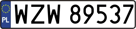 WZW89537