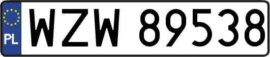 WZW89538