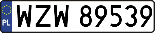 WZW89539