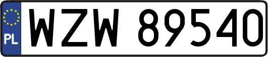 WZW89540