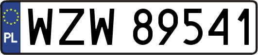 WZW89541