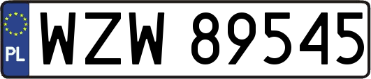 WZW89545