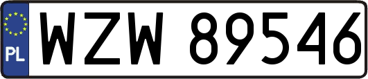 WZW89546
