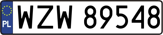 WZW89548