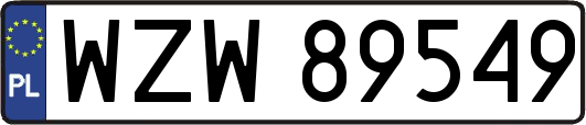 WZW89549