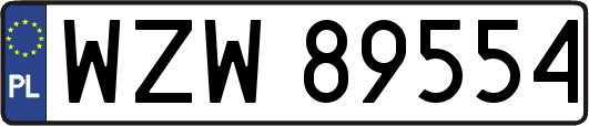 WZW89554