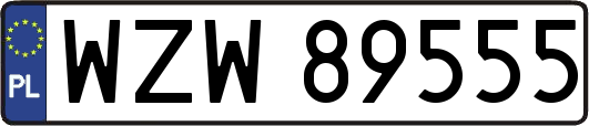 WZW89555