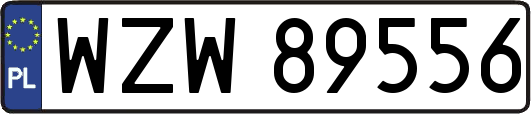 WZW89556