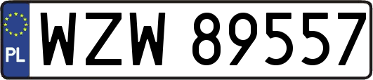 WZW89557