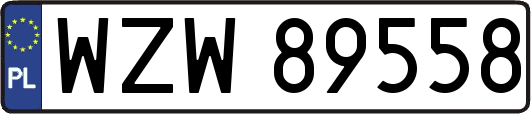 WZW89558