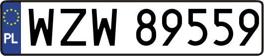 WZW89559