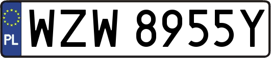 WZW8955Y
