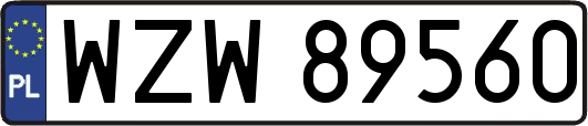 WZW89560