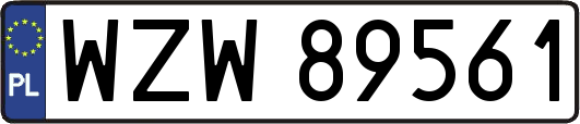 WZW89561
