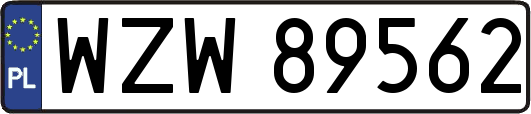 WZW89562