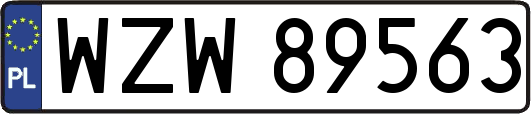 WZW89563
