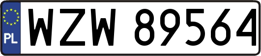 WZW89564