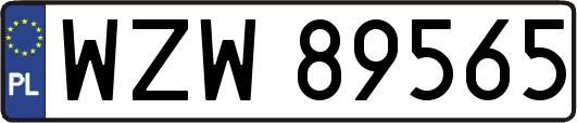 WZW89565