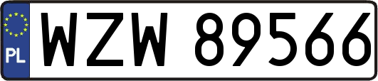 WZW89566