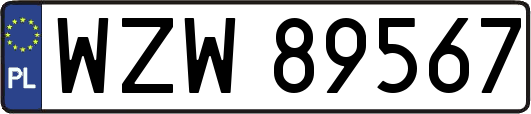 WZW89567