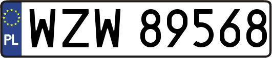 WZW89568