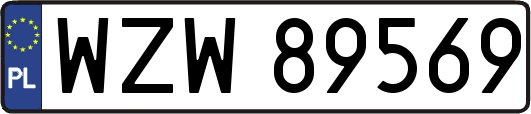 WZW89569
