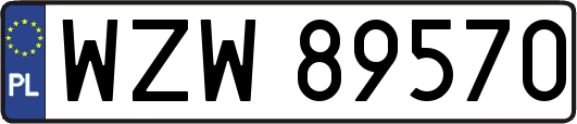 WZW89570