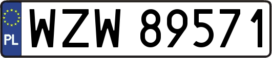 WZW89571