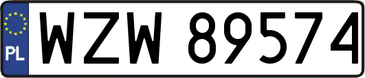 WZW89574