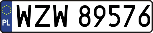 WZW89576