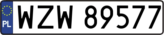 WZW89577