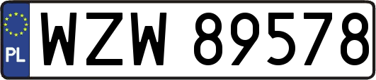 WZW89578