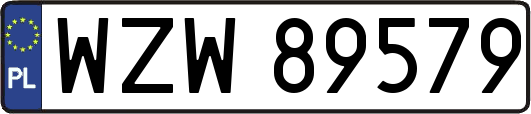 WZW89579