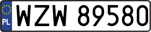 WZW89580