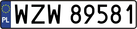 WZW89581