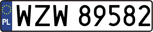 WZW89582