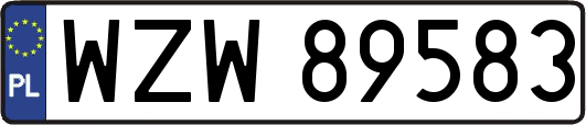 WZW89583