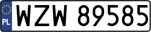 WZW89585