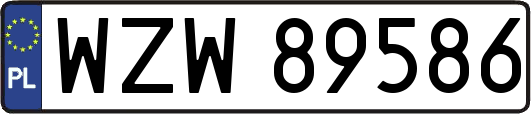 WZW89586