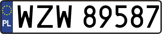 WZW89587
