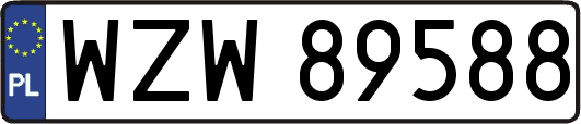 WZW89588