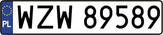 WZW89589