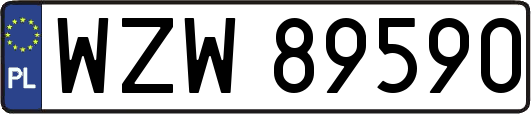 WZW89590