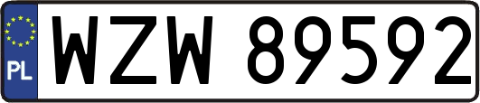WZW89592