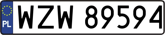 WZW89594