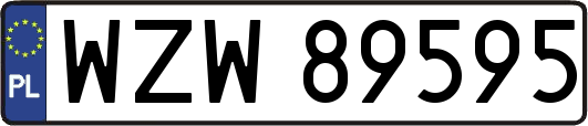 WZW89595