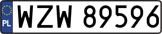 WZW89596