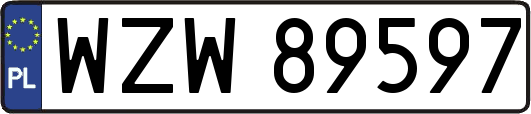 WZW89597
