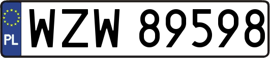 WZW89598
