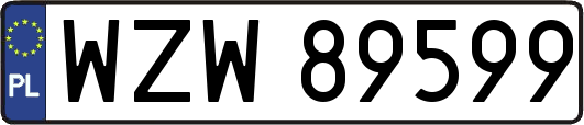 WZW89599